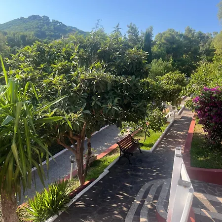 La Palmas *